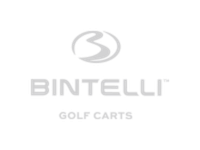 bintelli-logo-marcas